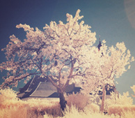 网页在线DDOS压力测试